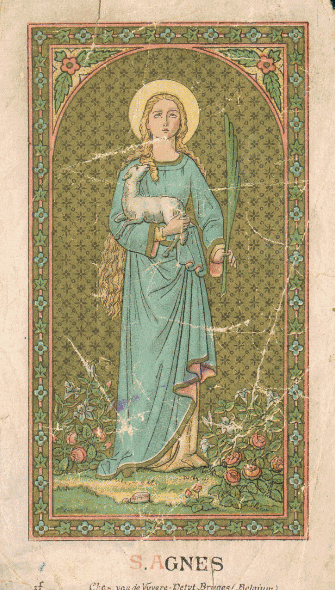 IMG-Agnes van Rome-20251118-24.png