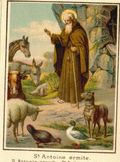 IMG-Antonius Abt-20251118-49.png