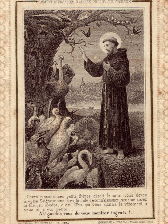 IMG-Franciscus van Assisi-20260108-28.png