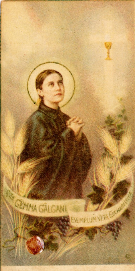 IMG-Gemma Galgani-20251118-2.png