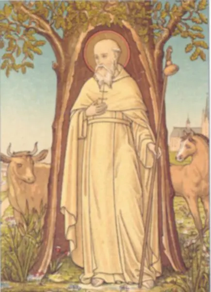 IMG-Gerlachus van Houtem-20251105-56.webp