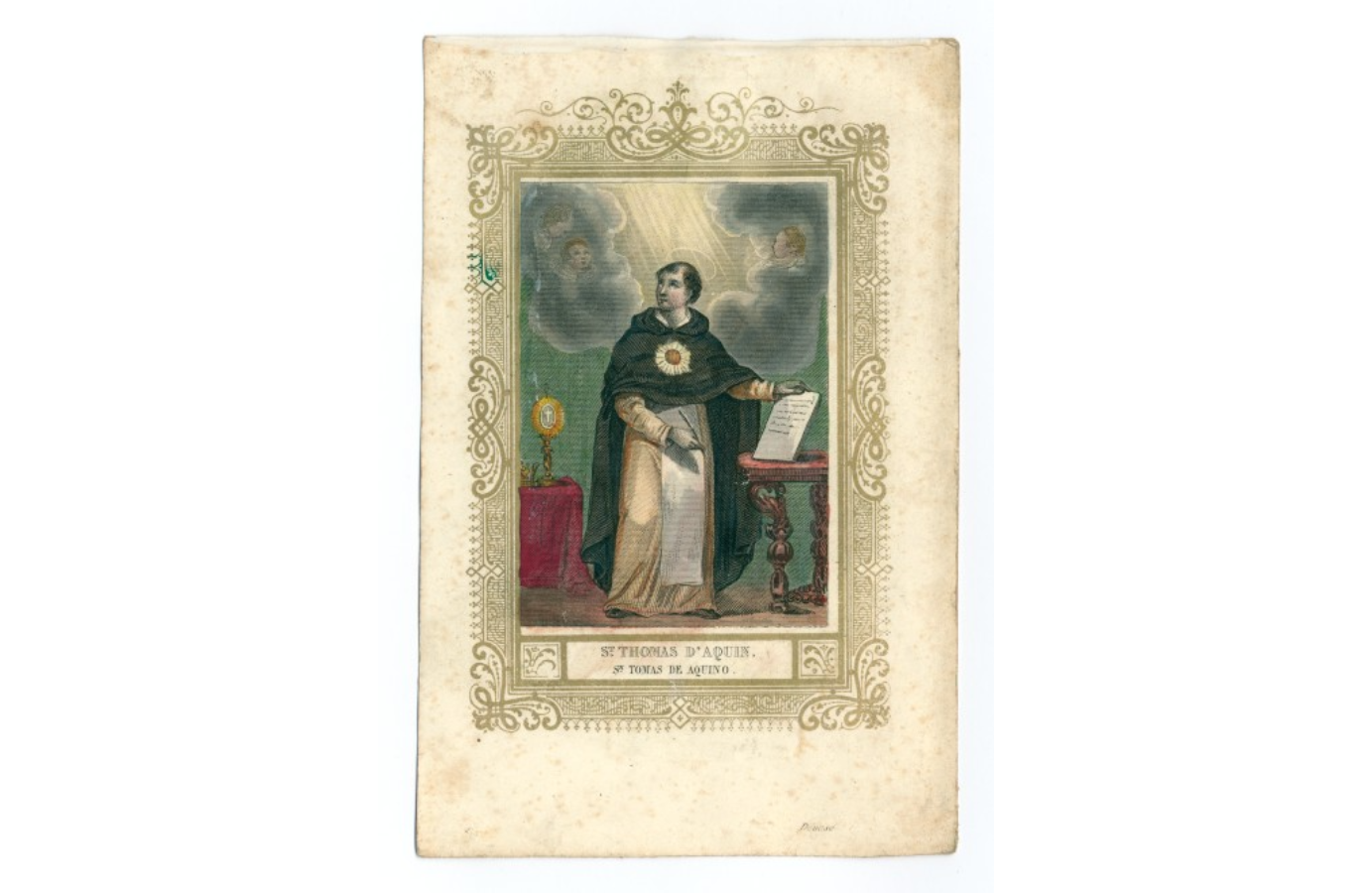 IMG-Thomas van Aquino-20251105-58.png