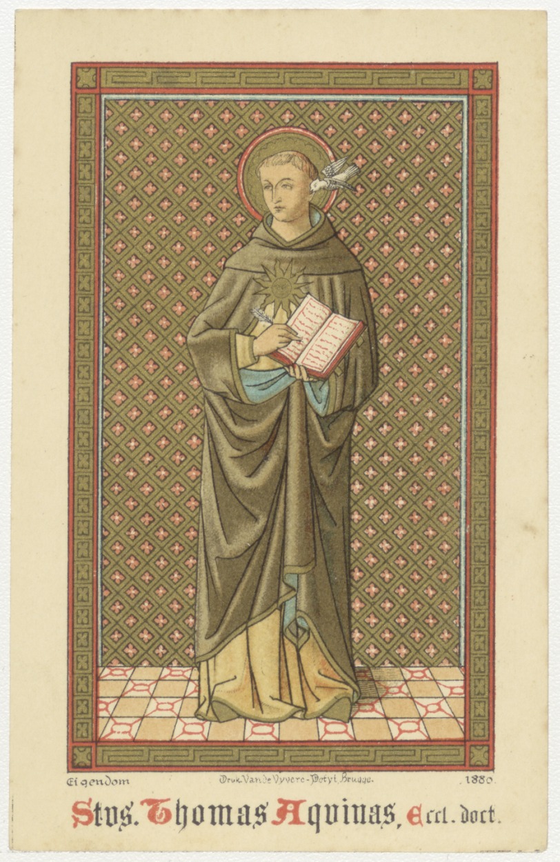 IMG-Thomas van Aquino-20251113-24.jpg