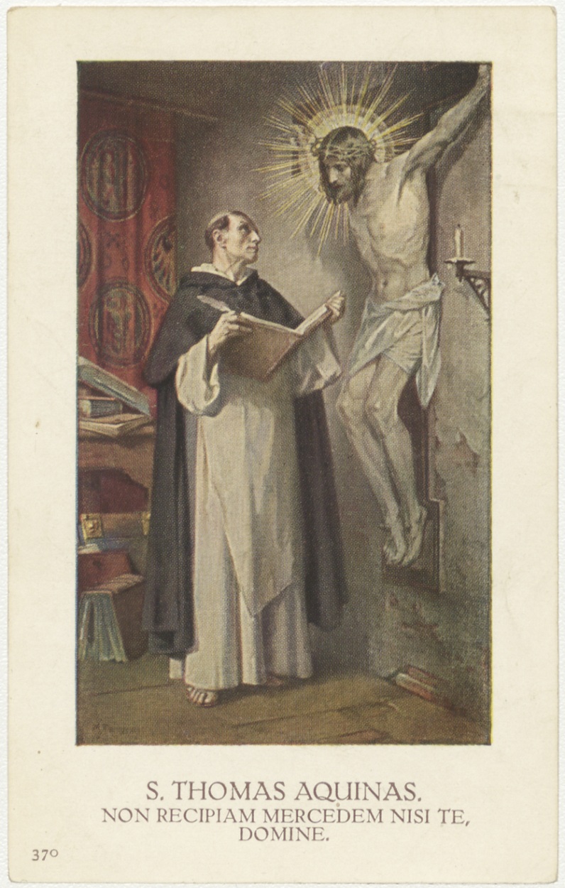 IMG-Thomas van Aquino-20251113-4.jpg