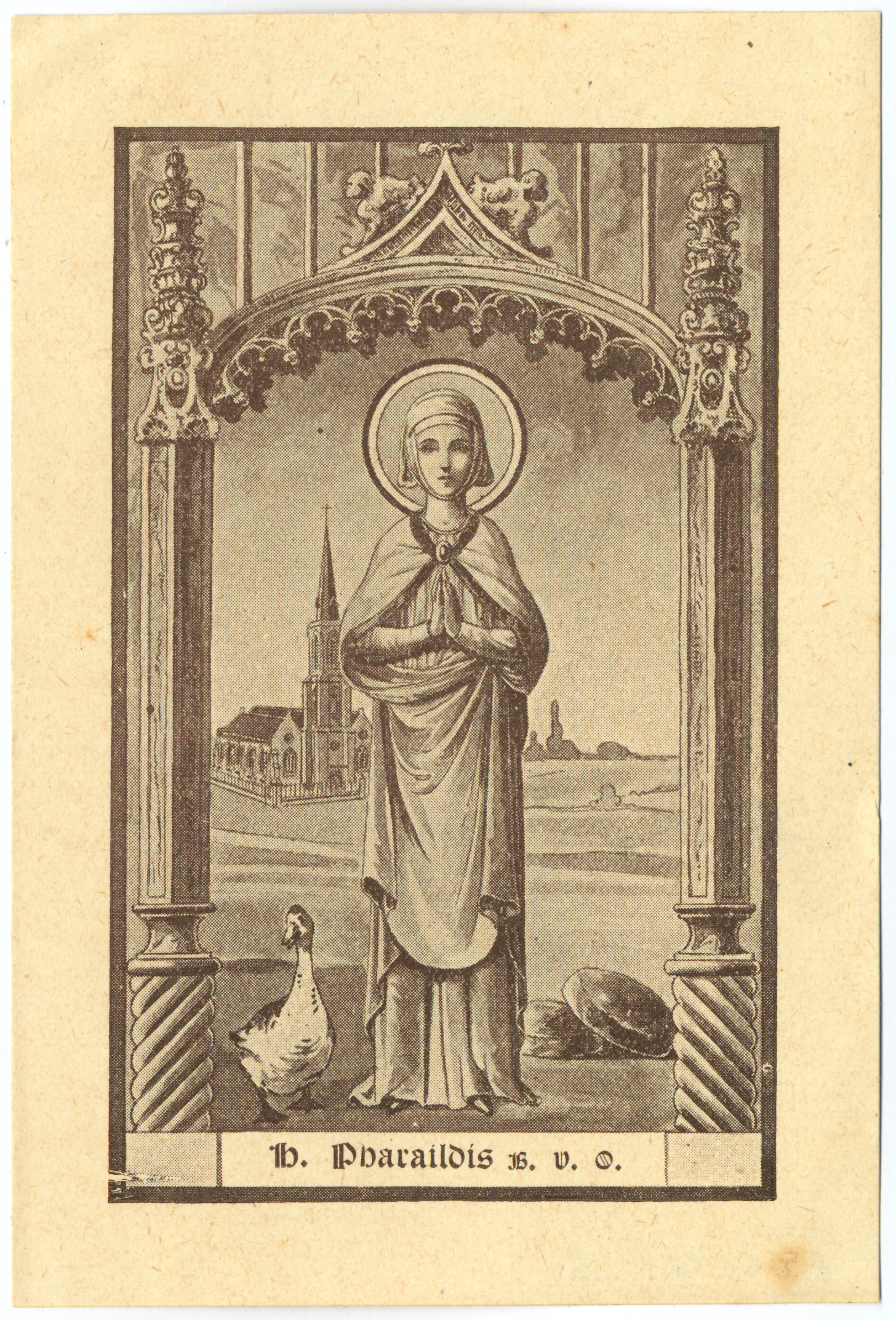 IMG-Veerle van Gent-20251029-4.jpg