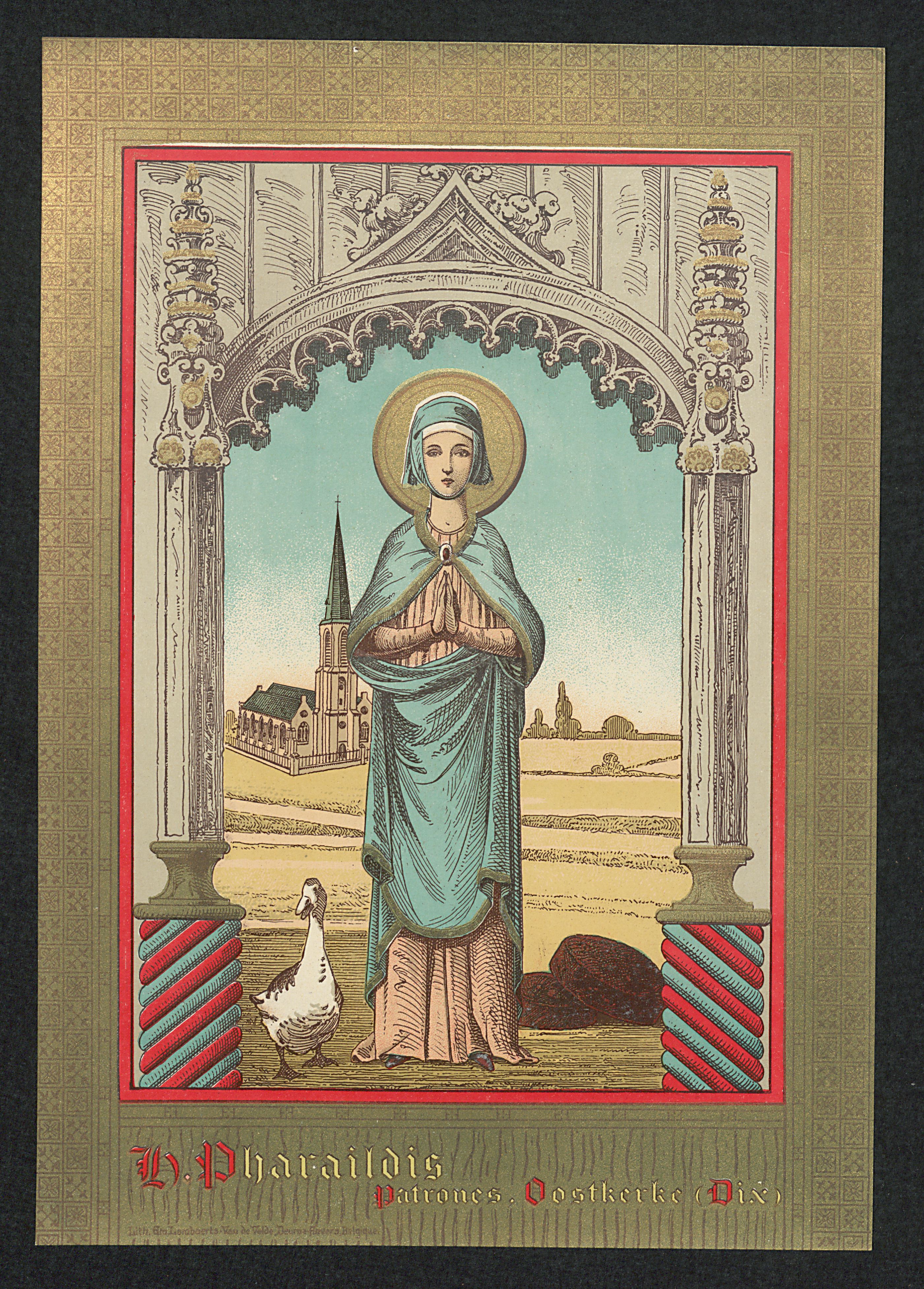 IMG-Veerle van Gent-20251105-30.jpg